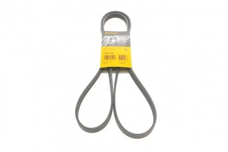 Ремінь генератора поліклиновий Contitech 5PK1815