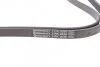 Ремень генератора BMW 3 (E46)/5 (E39) 1.8D/Land Rover 2.0 Td4 4x4 00-06, BMW 3 (E46), 5 (E39), X6 (E71, E72), LAND ROVER FREELANDER, MG MG ZT, MG ZT- T, ROVER 75 2.0D/3.0D 02.98-06.14 Contitech 5PK2030 (фото 3)