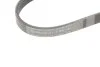Поликлиновый ремень Citroen:Berlingo,BX/Peugeot:206,309,405,Partner Contitech 5PK725 (фото 5)