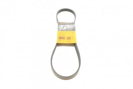 Пасок поліклиновий 5PK946/950 Contitech 5PK955