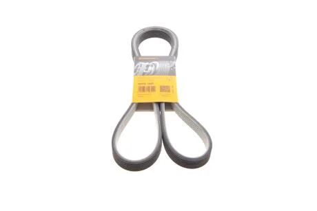 Ремінь Contitech 6DPK1697