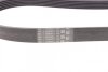 Ремень поликлиновой Contitech 6PK1029 ELAST (фото 3)