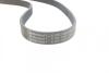 Комплект ременя CONTI-V MULTIRIB BELT KIT Contitech 6PK1050K3 (фото 2)