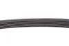 Поликлиновый ремень Contitech 6PK1120EXTRA (фото 3)