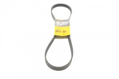 Пас поліклиновий Fiat Ducato 2.0JTD 01- (ALT) Contitech 6 PK 1180