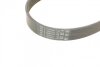 Ремень ручейковый Fiat Scudo 2.0D/Peugeot Expert 2.0HDI, IVECO DAILY CITYS, DAILY III, DAILY IV, DAILY LINE, DAILY TOURYS, DAILY V, DAILY VI, MASSIF, VOLVO C30, C70 II, S40 II, V50, CHEVROLET AVEO 1.0 Contitech 6PK1217 (фото 3)