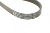 Ремень ручейковый Fiat Scudo 2.0D/Peugeot Expert 2.0HDI, IVECO DAILY CITYS, DAILY III, DAILY IV, DAILY LINE, DAILY TOURYS, DAILY V, DAILY VI, MASSIF, VOLVO C30, C70 II, S40 II, V50, CHEVROLET AVEO 1.0 Contitech 6PK1217 (фото 4)
