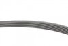 Ремень генератора Hyundai i30/ Tucson/ ix20 1.4i-1.6 07-/ Kia Cee\&#039;d/Picanto/ Soul 1.0-1.6 06- Contitech 6PK1256 (фото 2)