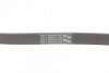 Ремень генератора Hyundai i30/ Tucson/ ix20 1.4i-1.6 07-/ Kia Cee\&#039;d/Picanto/ Soul 1.0-1.6 06- Contitech 6PK1256 (фото 3)