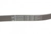 Ремень генератора Hyundai i30/ Tucson/ ix20 1.4i-1.6 07-/ Kia Cee\&#039;d/Picanto/ Soul 1.0-1.6 06- Contitech 6PK1256 (фото 4)