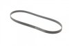 Ремень генератора Hyundai i30/ Tucson/ ix20 1.4i-1.6 07-/ Kia Cee\&#039;d/Picanto/ Soul 1.0-1.6 06- Contitech 6PK1256 (фото 5)