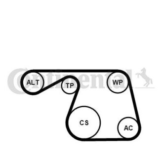 Комплект ременя CONTI Multi V-Belt Kit + Water Pump Contitech 6PK1310WP1