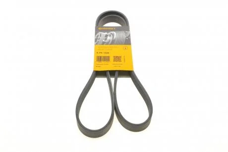 Пас поліклиновий Ford Fiesta/Ka 1.3i 95-08 Contitech 6 PK 1448