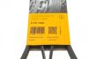Пас поліклиновий Ford Fiesta/Ka 1.3i 95-08 Contitech 6 PK 1448 (фото 6)