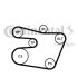 6PK1538K1   Комплект ременя CONTI-V MULTIRIB BELT KIT 6PK1538K1