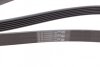 Ремень генератора Citroen Berlingo 1.6 00-08/ Nemo 1.4i 08- Contitech 6PK1560 (фото 3)