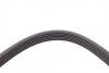 Ремень генератора Citroen Berlingo 1.6 00-08/ Nemo 1.4i 08- Contitech 6PK1560 (фото 4)