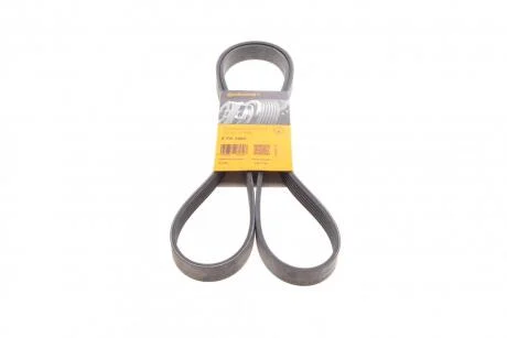 Ремінь поліклиновий Contitech 6PK1685