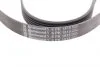 Ремень генератора Contitech 6PK1815 (фото 2)
