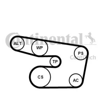 Комплект поликлинових ременів (з роликами) OPEL ASTRA G, ASTRA G/KOMBI, ZAFIRA A 2.0D/2.2D 02.98-10.05 Contitech 6PK1873K3