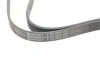 Ремень генератора Contitech 6PK2030 (фото 4)