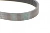 Ремень ручейковый VW LT 2.8 TDI 2001- / MB Sprinter 901 - 904 / W461 (OM 602) / W202 2.8 - 3.6 Contitech 6PK2150 (фото 3)