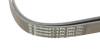 Комплект пасу поліклинового Audi A4/A6/A8/VW Pass Contitech 6PK2404 K1 (фото 4)