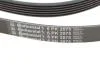 Поліклиновий ремінь Contitech 6 PK 2575 (фото 4)