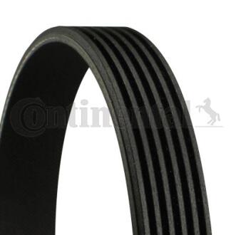 Поліклиновий ремінь (6PK794) MERCEDES S (W221, V221) 3.5H 01.09-12.13 Contitech 6PK794 ELAST