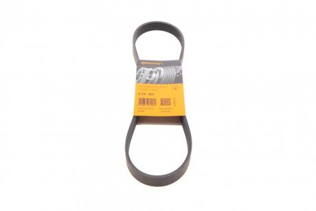 Ремінь поліклиновий Citroen Berlingo / Jumpy / Fiat Scudo / Peugeot Expert / Partner 1.9 D 98-&gt, (-PS/AC) Contitech 6PK869