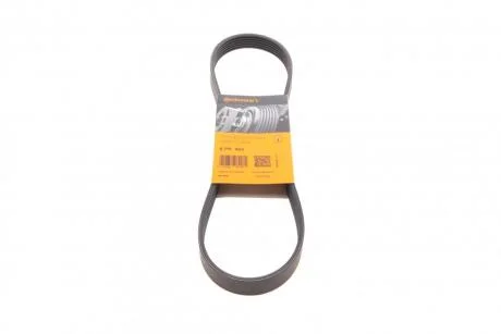 Ремінь поліклиновий Citroen Berlingo / Jumpy / Fiat Scudo / Peugeot Expert / Partner 1.9 D 98-&gt, (-PS/AC) Contitech 6PK869