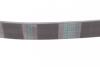 Поликлиновый ремень Chevrolet:AveoT200,AveoT250/Nissan:Maxima,Micra,Sunny_x000D_, Contitech 6PK884 (фото 3)