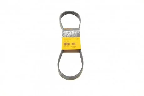 Ремінь генератора поліклиновий Contitech 6PK935