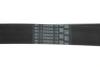 Поликлиновый ремень Contitech 7PK1190EXTRA (фото 4)