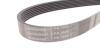 Комплект ременя CONTI-V MULTIRIB BELT KIT Contitech 7PK1605K1 (фото 2)