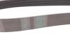 Комплект ременя CONTI-V MULTIRIB BELT KIT Contitech 7PK1605K1 (фото 3)