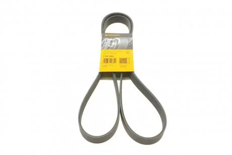 Ремінь Contitech 7PK1801