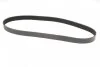 Ремінь генератора поліклиновий Contitech 8PK1226 (фото 5)