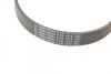 Ремень генератора MB Atego, CASE IH JX, JXU, NEW HOLLAND T5000, MAN E 2000 8035.25-NEF4 05.00- Contitech 8PK1376 (фото 4)