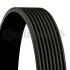 Ремінь (поліклиновий) CONTI Multi V-Belt Contitech 8 PK 1440 (фото 1)