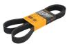 Ремінь (поліклиновий) CONTI-V MULTIRIB Contitech 8PK1515 (фото 1)