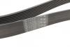 Ремінь Contitech 8PK1786 (фото 2)