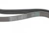 Пас поліклиновий MB Vario OM904 (+AC) Contitech 8PK2080 (фото 3)