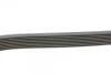 Поликлиновой ремень MERCEDES-BENZ W140 300 SE 03/91-10/98 Contitech 8PK2440 (фото 2)