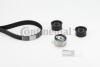 Комплект CONTI SYNCHROBELT KIT Contitech CT1023K1 (фото 2)