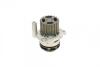 Комплект пасу ГРМ з насосом VW Golf 00-06/Ford Gal Contitech CT1028WP2 (фото 9)