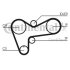 Комплект CONTI SYNCHROBELT KIT Contitech CT508K1 (фото 1)