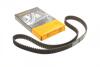 Ремінь ГРМ 1.6-2.0i Escort 92-99/Mondeo 93-01/Fiesta 92-96 CT728