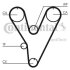 Комплект CONTI SYNCHROBELT KIT Contitech CT805K1 (фото 1)