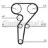 Комплект CONTI SYNCHROBELT KIT Contitech CT877WP1 (фото 2)